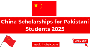 china scholrships
